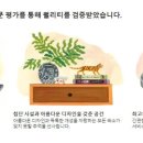 하늘고래앤드 이미지