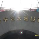 자수정식당 Daum카페