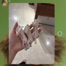 UR(대전광역시)-[대전로]-하-34 | 복숭아 수국 집게핀 물놀이의 계절들