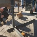 핫도그하우스 이미지