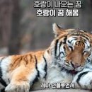 호랑이꿈, 호랑이가 우는꿈, 새끼 호랑이 관련꿈해몽 이미지