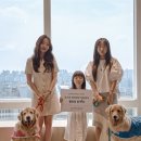 플라이투게더