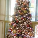 협동조합 아리송 이미지