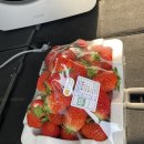 탑리농장 이미지