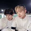 엔시티 위시 카카오 검색결과