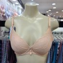 뉴 비너스 이미지