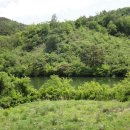 산적소굴 이미지