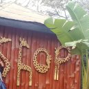 기린농장 이미지