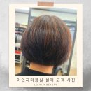 커트박사 이미지