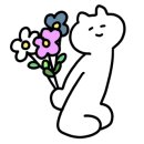 조엘르 이미지