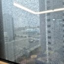 (주)센트럴약품 | 이안센트럴D, 아파트유리창청소와입주청소 동시진행후기