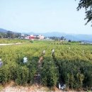 원문농장 이미지