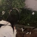 체리노래연습장 이미지