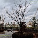 제일어린이공원 화장실 이미지