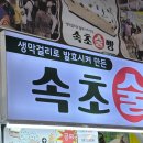 2024-10 사랑하는 우리가좍 소박한 속초여행 ㅣ 속초중앙시장 술빵 웨이팅, 컨센트릭양양