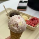 압구정-118 | [압구정로데오]벤슨크리머리_아이스크림 (내돈내산)