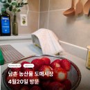 440 | 남촌 농산물 도매시장 장보기 후기, 딸기 가격과 주차 정보