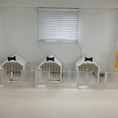 망원견 애견유치원&애견호텔 이미지