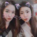 바나지오 이미지