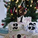 개월 | 로바나 LOVANA 신생아촬영소품 개월수왕관 후기