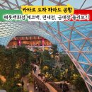 카타르 도하 하마드 공항 환승 후기 해롯백화점, 금매장, 면세점 구경
