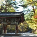 대원사계곡 이미지