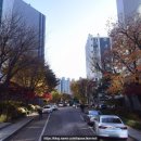 경기도 수원시 영통구 동탄원천로1109번길 37 (매탄동, 한국아파트) | 수원시 영통구 매탄동 한국1차아파트 경매물건 2025타경916