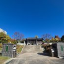 효원공원 | 수원 인계동 가을 명소 도심 속 이국적인 산책 공간 | 효원공원 월화원 후기