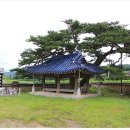청류당