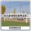 공지천인조잔디구장 이미지