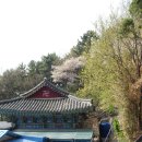 봄안에 Daum카페