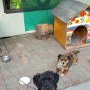 송이네펜션민박 이미지