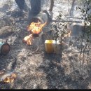 서귀포 자치경찰대 이미지