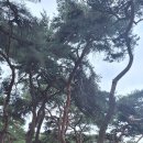 양산팔경 금강둘레길 이미지