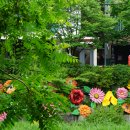 천국은불타고있다 이미지