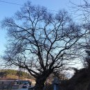 수야2리 경로당 이미지