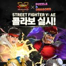 드래곤 FIGHTER 이미지