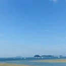 농업회사법인 다음산업(주) Daum카페