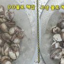 꼬막 삶는법 12월 제철음식 꼬막 해감 팁 이미지