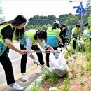 하나님의 교회 직장인청년봉사단 ASEZ WAO, 전주 송천동 화암공원서 정화활동 전개 이미지