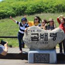 곰배령화원 이미지