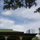 봄날 행정사사무소 이미지