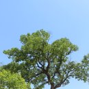 신진농장 | 호족·문벌귀족·무신·권문세족·신진사대부, 고려사 한눈에 보기 : 지배층 변천을 기준으로