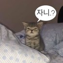 위드비