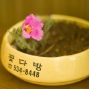 꽃다방 이미지