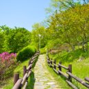 숲쟁이꽃동산 이미지