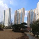 디딤돌부동산중개사무소 이미지