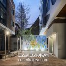 산다화 이미지