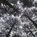 곰배령 팜스테이 이미지