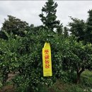 주생농장 네이버블로그
